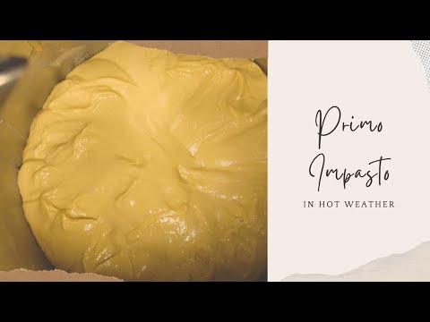 How to Mix Panettone Primo Impasto in Hot Weather | Tips for Perfect Dough