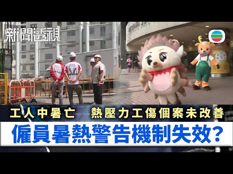 新聞透視｜僱員暑熱警告形同虛設？熱壓力工傷個案仍高企｜繁／簡字幕｜無綫新聞 ｜TVB News