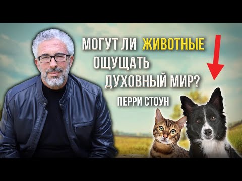 Могут ли животные ощущать духовный мир? | Перри Стоун