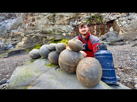 These Giant Stones Were Sealed for Millions of Years – Here’s What We Found Whilst Fossil Hunting!