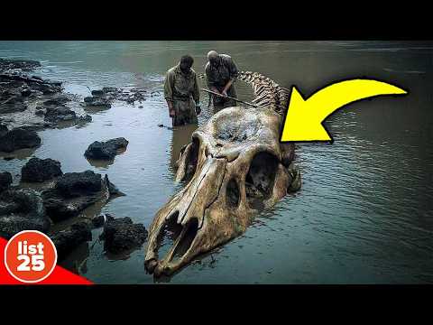 25 Cryptids Modern Science Still Can't Explain