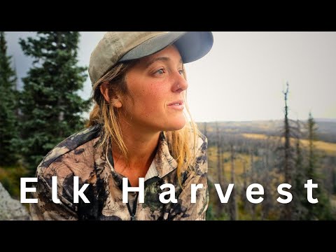 Life in the Wilderness | Seeking Wild Food & Connection