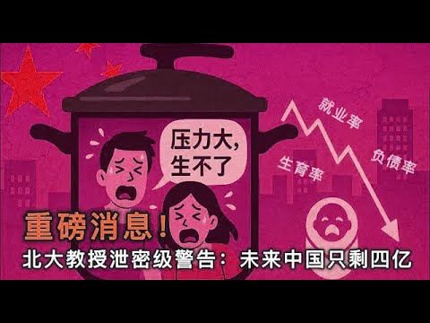 【重磅消息+墙内秒删】北大女教授揭露中国人口骗局：中国未来人口四亿论；在高压锅里的年轻人被逼着下蛋 ｜中国人口骗局曝光｜中国真实人口之谜｜张俊妮“四亿论”震撼全网｜生育全面塌陷｜高压锅时代｜尉迟大官人