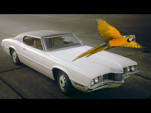 Bunkie's Bird Beak 1970-1971 Ford Thunderbird