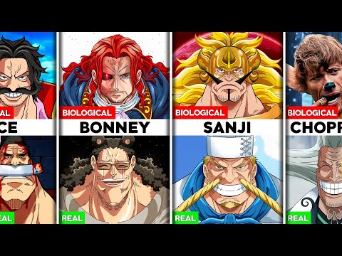 Biological vs Real Parents in One Piece (All Parents & Families in One Piece Explained)