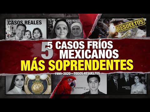 Caso frío de México 2003 resuelto — 5 investigaciones que sacudieron a la comunidad