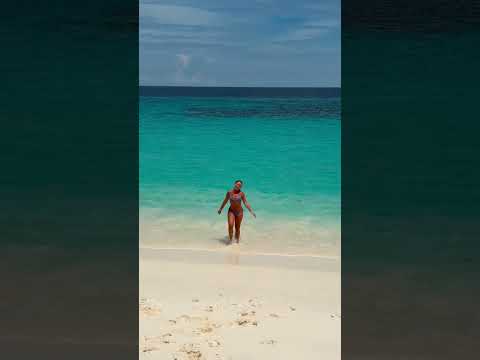 My wrap-up of Central Sulawesi