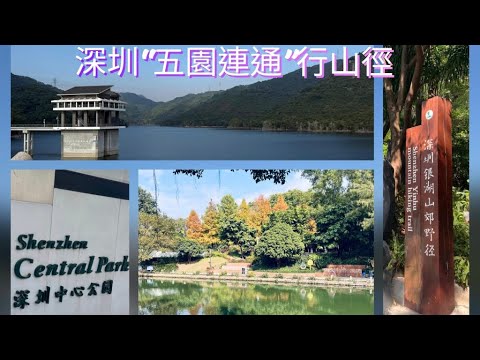 深圳五園連通行山徑⛰️梅林山公園⛰️銀湖山公園🌳筆架山公園🪻中心公園🍂蓮花山公園