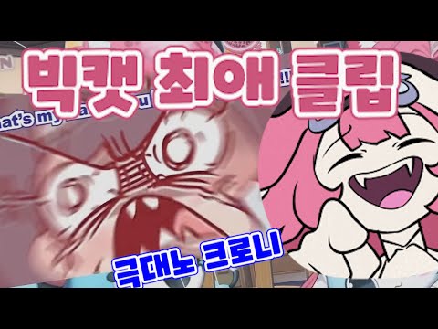 찾았다 빅 캣 폭소의 핵심! [라오라 판테라]