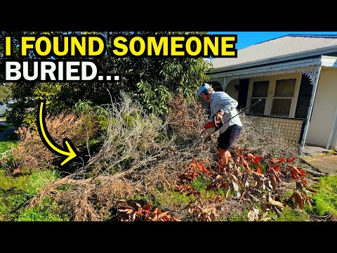 This Abandoned Property Was Hiding A DARK Secret - Neighbors Were SHOCKED!