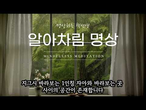 "잡념을 없애지 마세요, 이렇게만 하세요" ㅣ 알아차림 명상