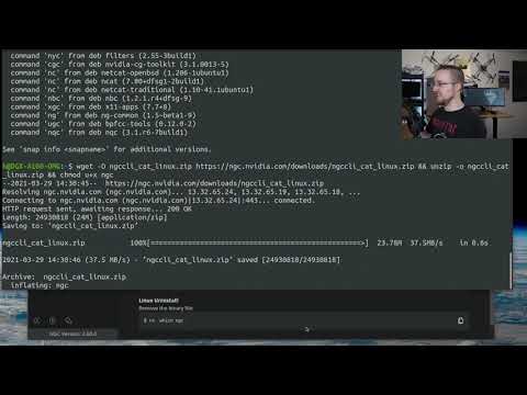 Conversational AI w/ Jarvis - checking out the API
