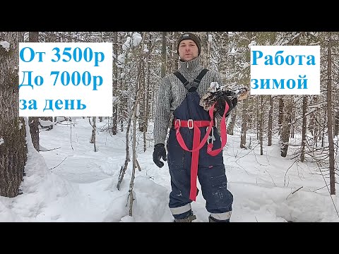 3500 как с куста. Деньги на деревьях.