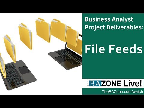 Business Analyst Project Deliverables: File Feeds