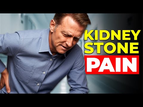 How to NEVER Get Kidney Stones