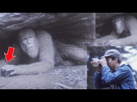 He Stumbled Upon Bigfoot's Resting Place. When the Creature Opened Its Eyes… – Sasquatch Story
