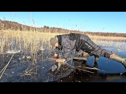 Winter ice fishing for pike on a fishing rod