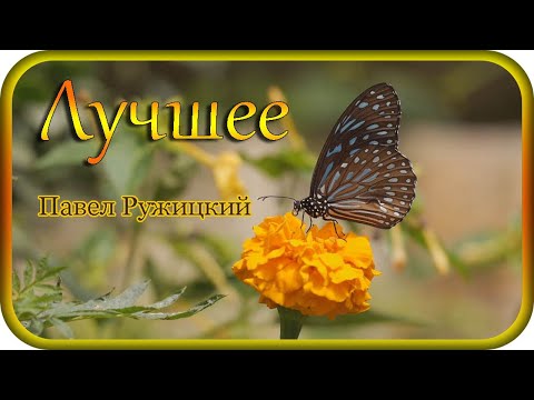 Collection "The Best" - music Pavel Ruzhitsky