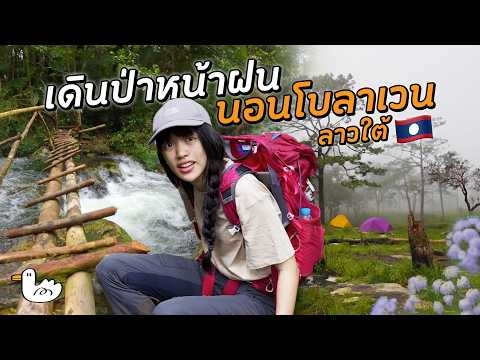 เดินป่าหน้าฝน  กางเต็นท์นอนโบลาเวน ลาวใต้ 2 วัน 1 คืน | ฉบับเที่ยวเอง