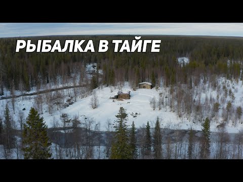 РЫБАЛКА В ДИКОЙ ТАЙГЕ. Экспедиция в Архангельскую тайгу на снегоходе Lynx. Часть 1.