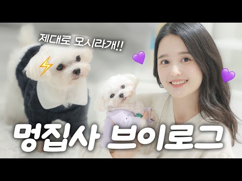 머털이 모델 데뷔!?!📸 나보다 촬영 잘하는 머털 공주🐶💕슈스의 기운이😎