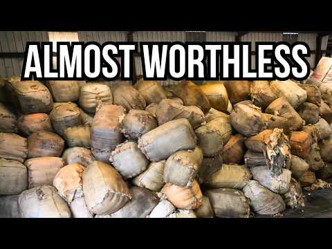 Irish Wool is Worth Almost Nothing - Here's Why