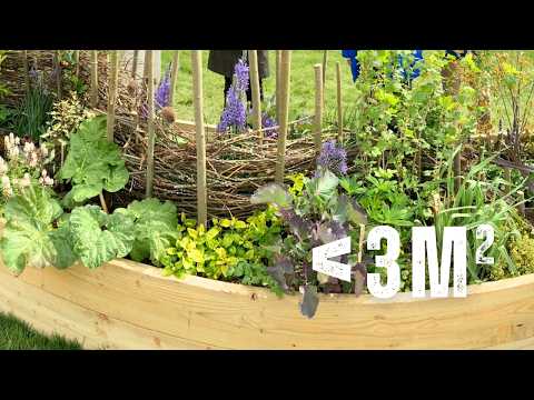 A Food Forest… in a Garden Border?