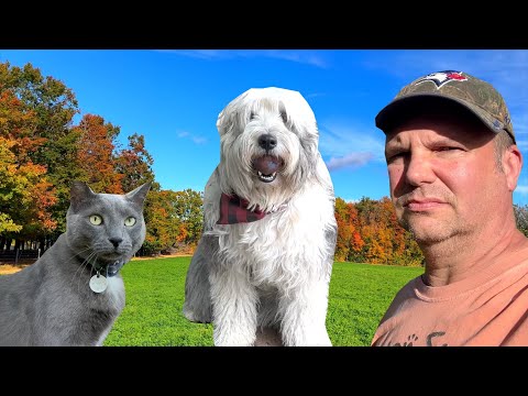 The Perfect Fall Day on the Farm with my Cats & my Dog