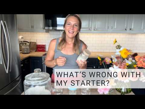 What to do If Your Sourdough Starter Does Not Wake Up; Feed, Revive, Rise, Dead, Dormant Starter