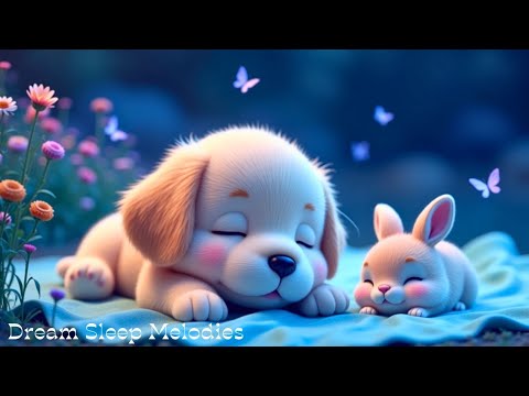 No Ads – Deep Sleep Piano to Calm Depression, Relieve Stress and Enter Peaceful Mind States #3