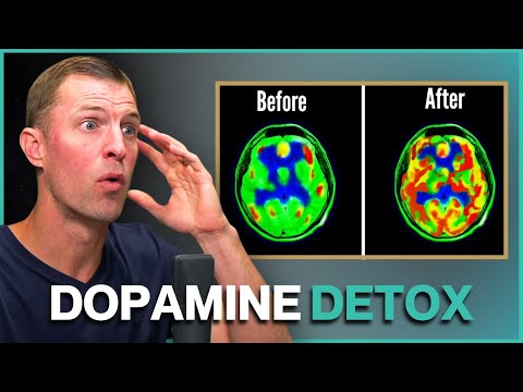 Dopamine Detox: Reset Your Brain's Reward System for Better Focus and Motivation