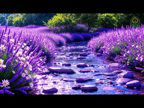 RECOVERY OF THE NERVOUS SYSTEM 🌿 Gentle music, calms the nervous system and pleases the soul