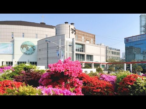 [경향교회] 주일낮예배실황 2019-02-24 경향의 강단(9)