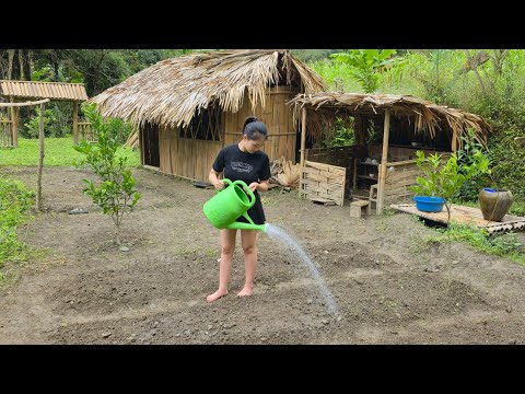 .The girl left the city to return to her hometown and renovated the abandoned house she was given.