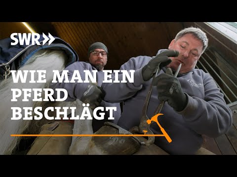 How to shoe a horse | SWR Craftsmanship