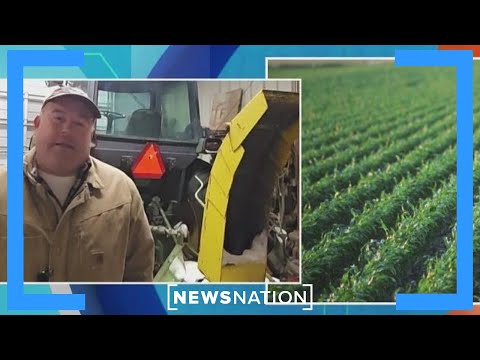 Farmer says China's purchase of US soybeans is not enough | Morning in America