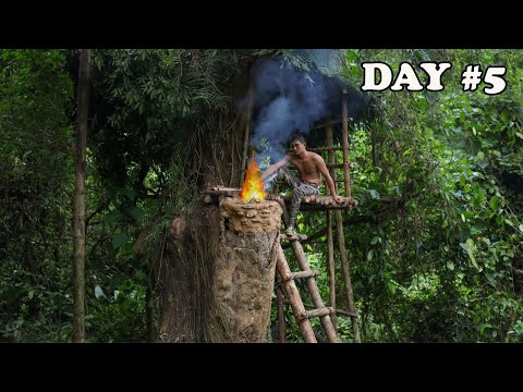5 Days How I Can Survive (No Food, No Shelter, No Water, No Help) || Survival Challenge