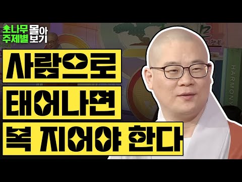 사람으로 태어났다면 복 지어야 한다✨  [광우스님 소나무 주제별 몰아보기]