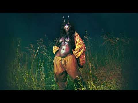 SZA - No More Hiding (Official Audio)