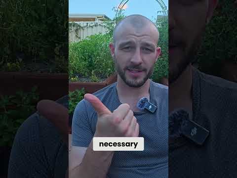 Navigating Psychiatry: Managing Conflict as an Avoidant