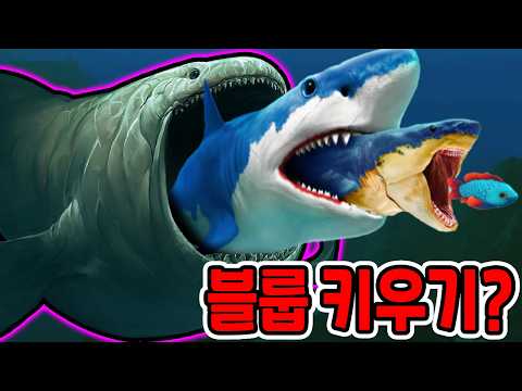 피드앤그로우 블룹 키우기?! / 99레벨 블룹 진화했더니?? [Feed and Grow: Fish]