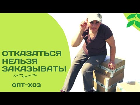 Хвойное безумие! Большая распаковка саженцев из Опт-хоз. Часть1