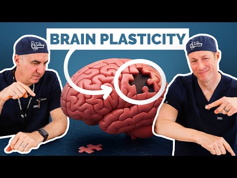 How to Reduce Your Risk of Dementia - Part 1 Education