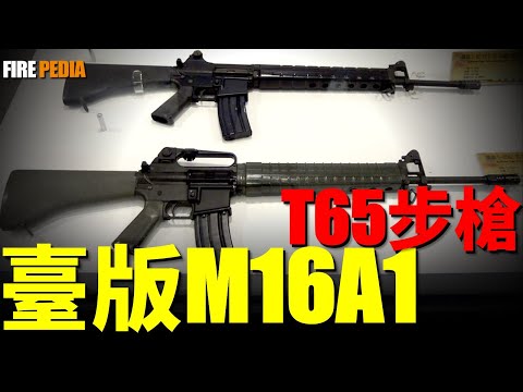 The hybrid of T65, M16, and AR-18 surpasses the performance of the American M16A1!