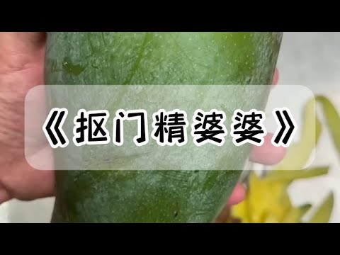 婆婆是个斤斤计较的抠门精。家里的水电费她提出来要跟我 AA。「这些又不是我一个人在用，凭什么每次都是我去交？」#小说 #故事