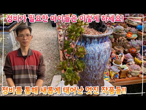 정비가 필요한 아이들은 어떻게 정리하냐구요 !? 지금 바로 보여드릴게요 !! 정비를 통해 새롭게 태어난 작품들 !!