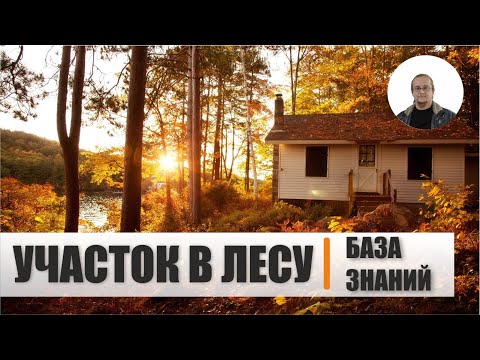 Стоит ли покупать участок в лесу? | База знаний