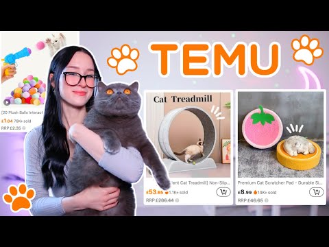 TESTING WEIRD CAT GADGETS FROM TEMU...
