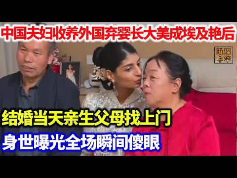 中国夫妇收养外国弃婴，长大后美成埃及艳后。结婚当天亲生父母找上门，身世曝光全场瞬间傻眼#奇闻异事 #收养
