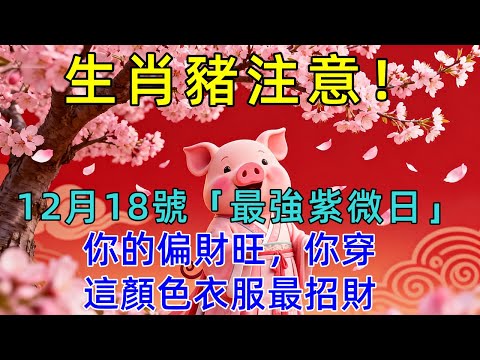 生肖豬注意，明天12月18號，農曆十月廿九是「最強紫微日」，你的偏財旺，你穿這顏色衣服最招財！讓你天天發財到年底！ #生肖运势#佛陀#佛學 #佛法 #佛教 #修行 #智慧 #因果 #佛家  #佛學知識